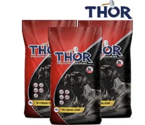 Товар Сухий корм Thor для собак зі смаком говядини 10кг