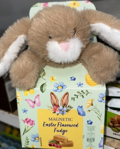 Набір Великодній цукерки з Іграшкою Magnetic Easter Flavoured Fudge Bunny Магнетік фруктово карамельні Зайчик 90г