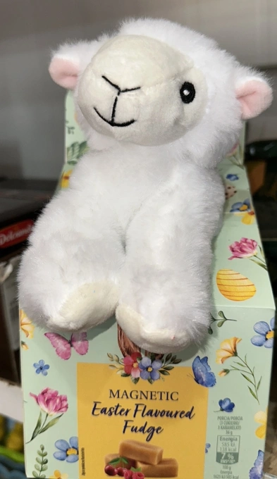 Набір Великодній цукерки з Іграшкою Magnetic Easter Flavoured Fudge Sheep Магнетік фруктово карамельні Біла Овечка 90г